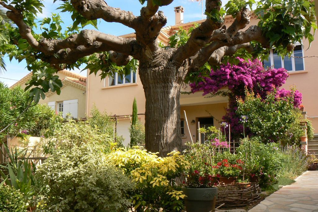 L' Escale Tranquille Bed and Breakfast Sète Exteriör bild