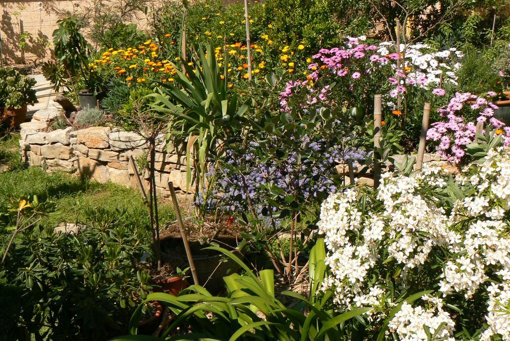L' Escale Tranquille Bed and Breakfast Sète Exteriör bild